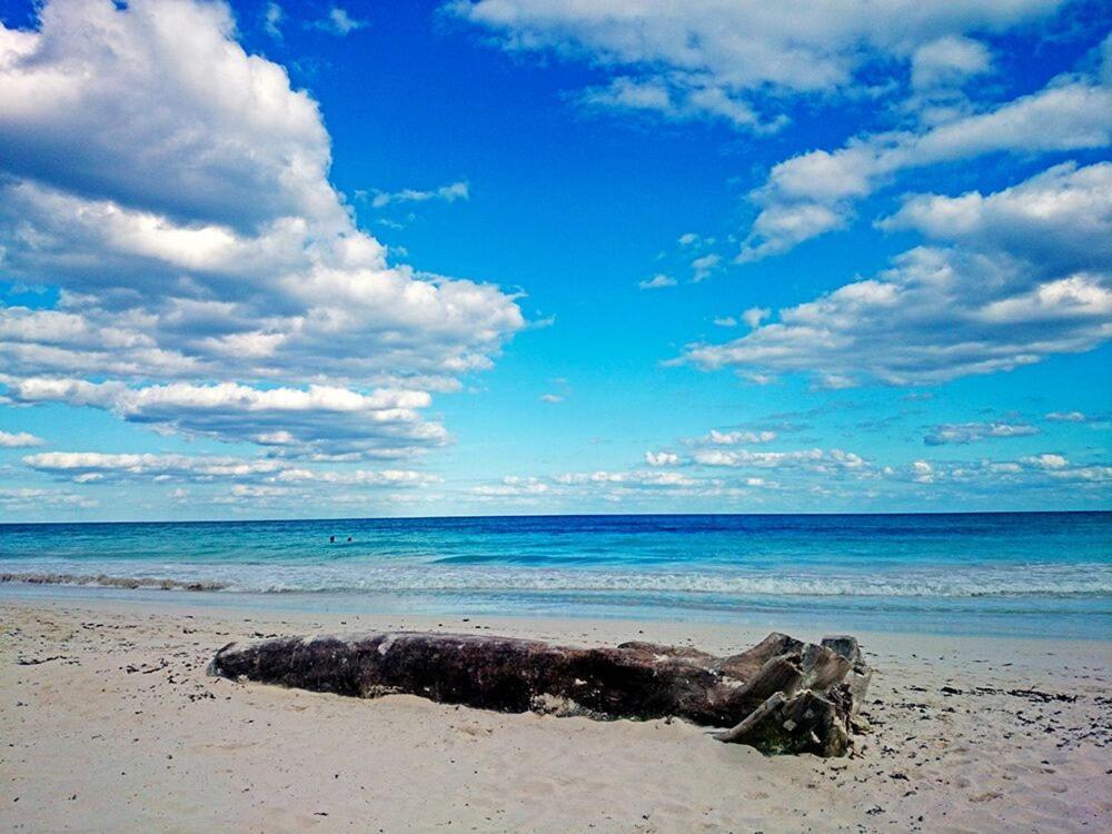Готель Alaya Tulum By Ahau Collection Екстер'єр фото